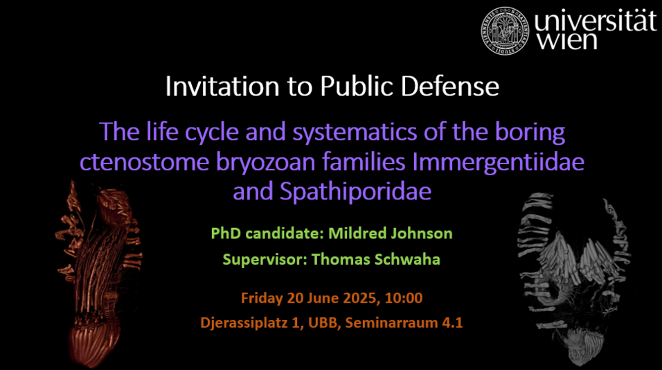 Invitation for Defense