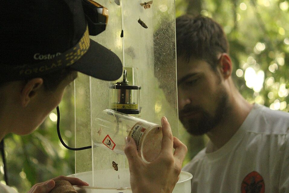 Author collecting moths