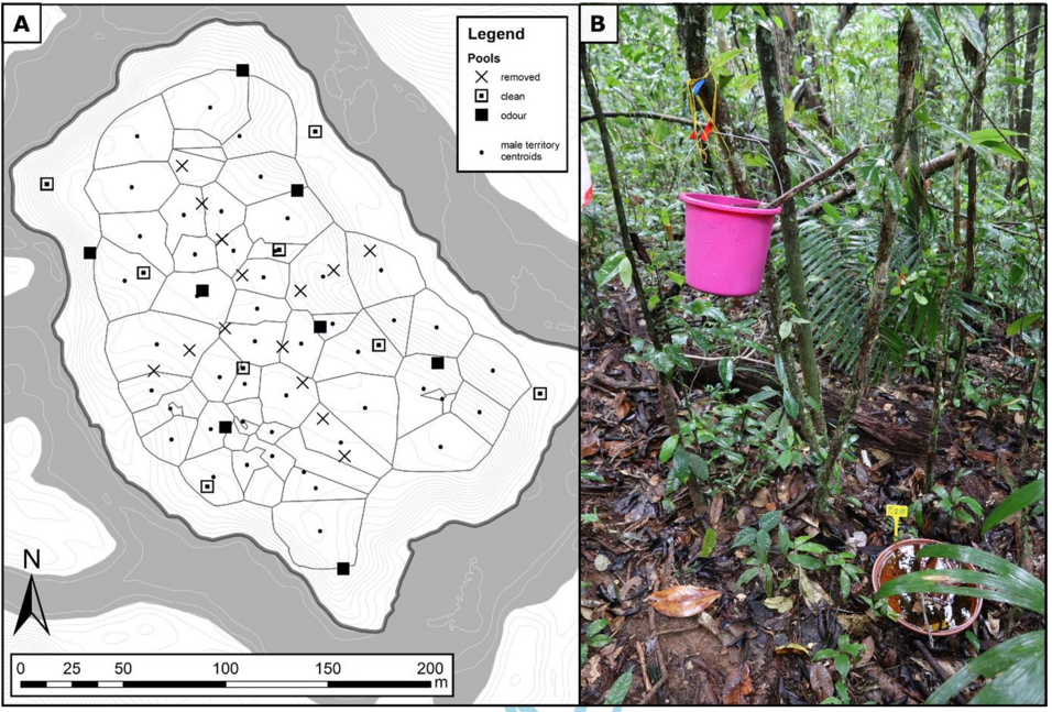Publication Figure 1